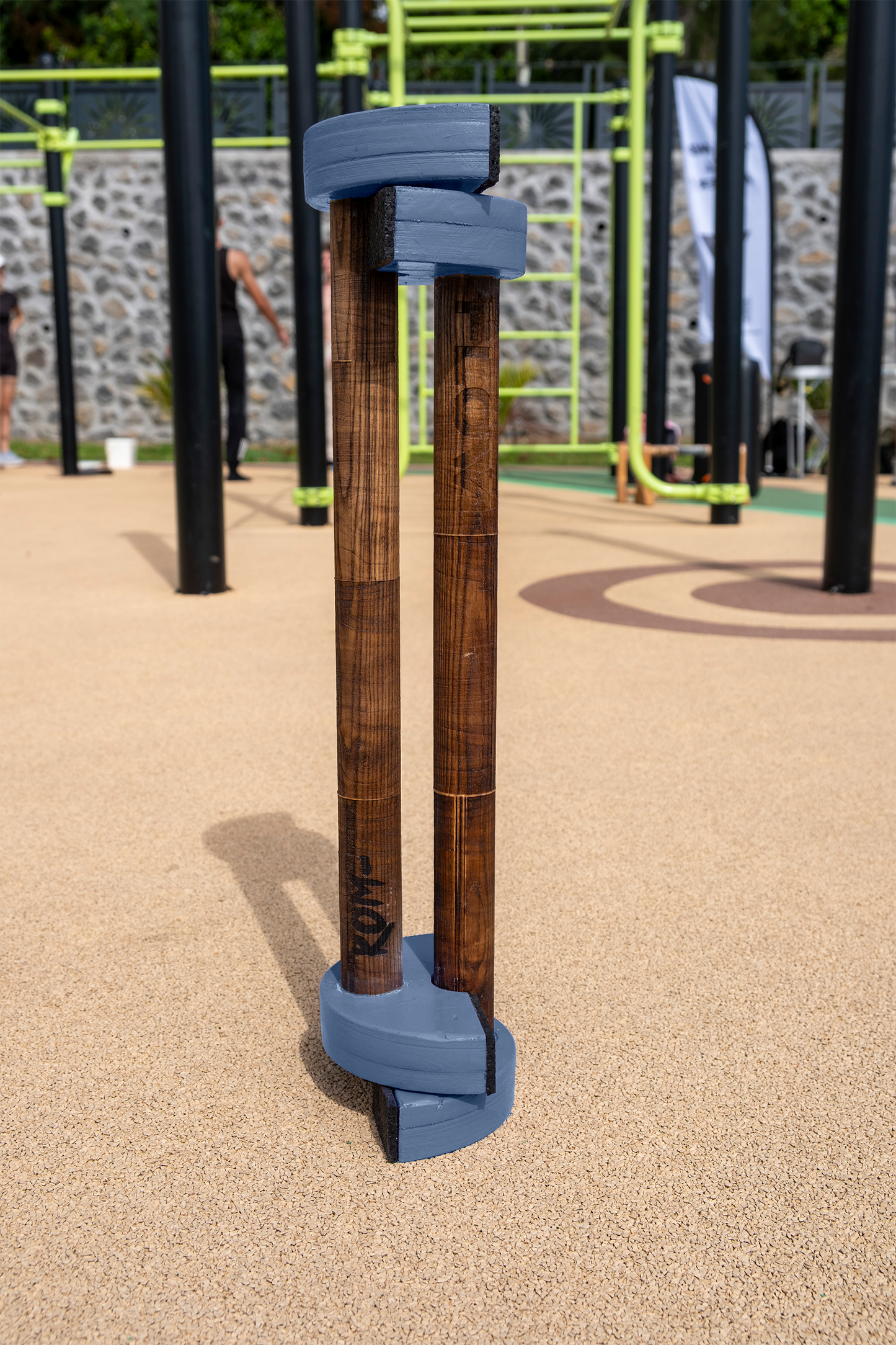 Parallettes LOW PRO Edition