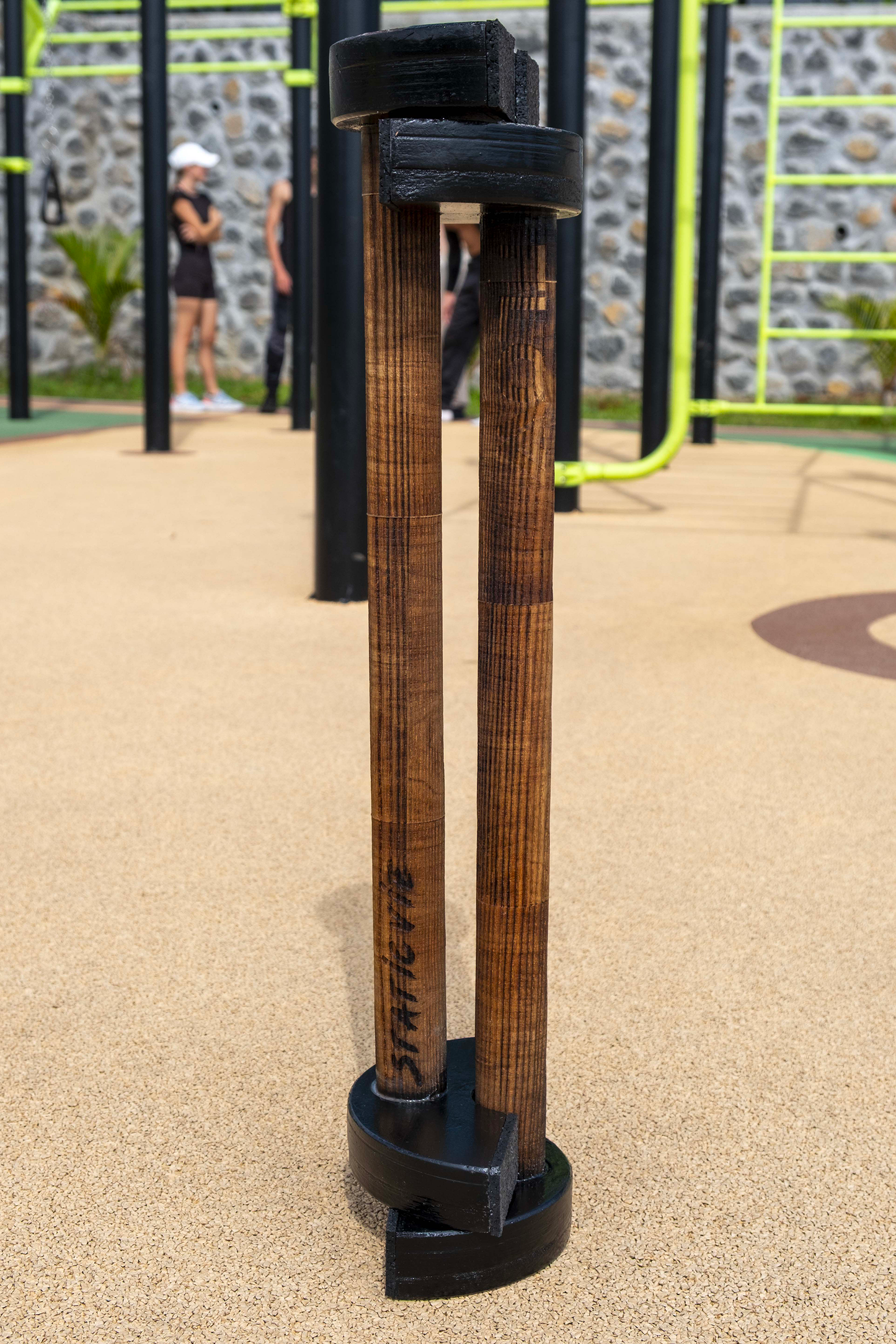 Parallettes LOW PRO Edition