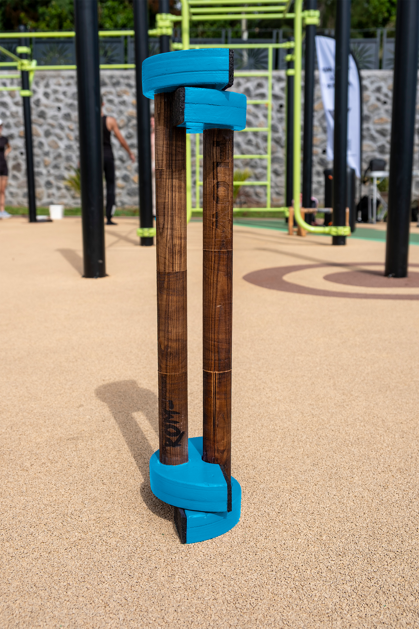 Parallettes LOW PRO Edition