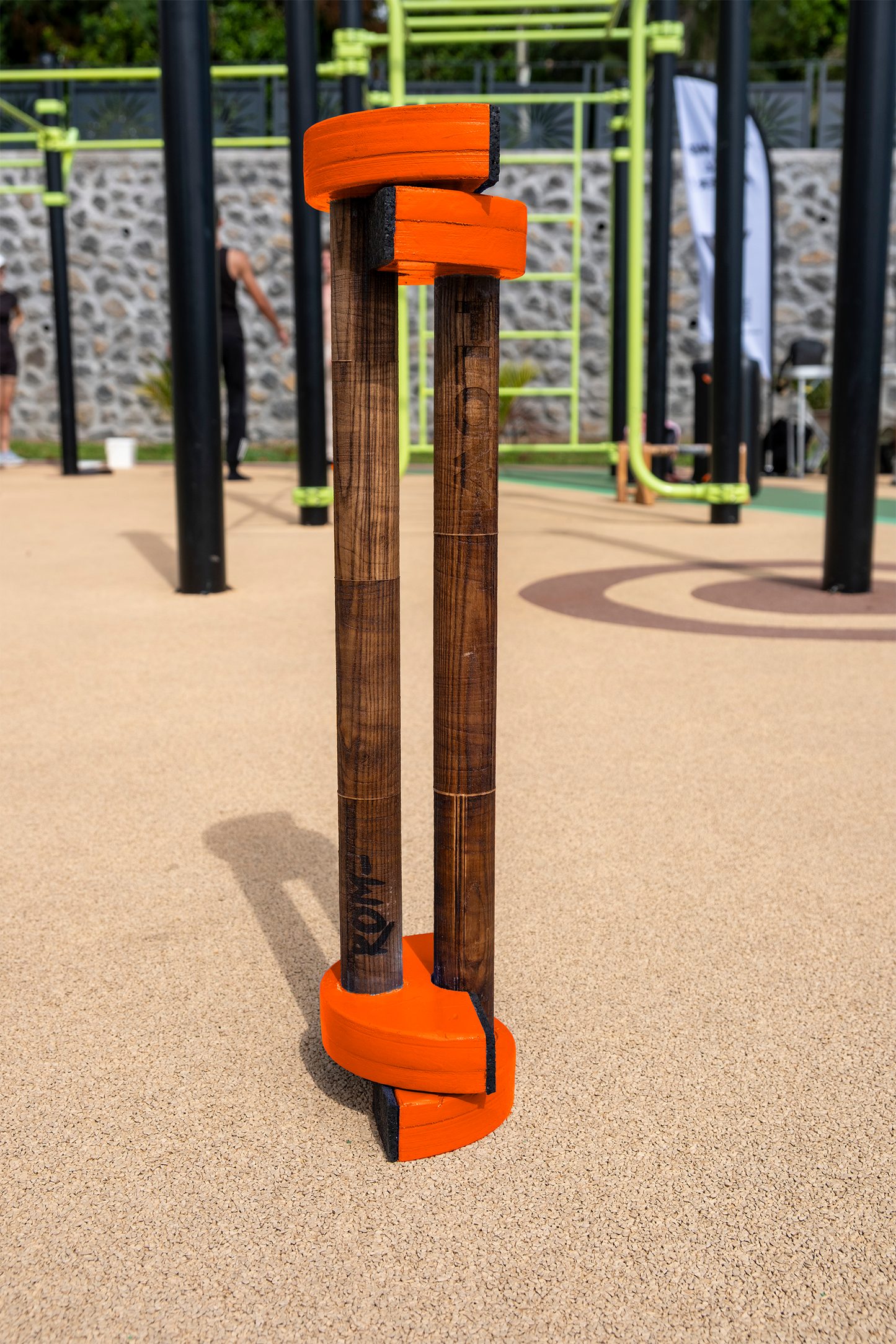 Parallettes LOW PRO Edition
