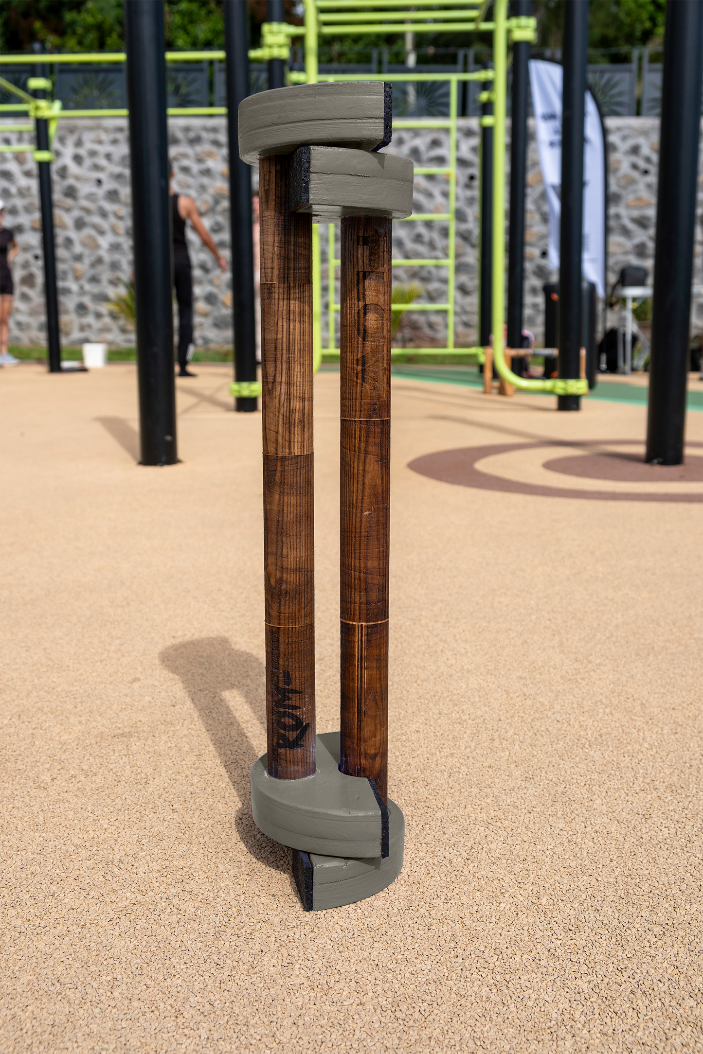 Parallettes LOW PRO Edition